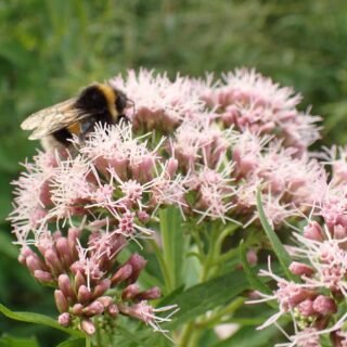 Užsiėmimai moterims Kaune.