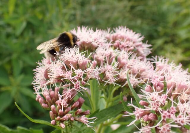 Užsiėmimai moterims Kaune.